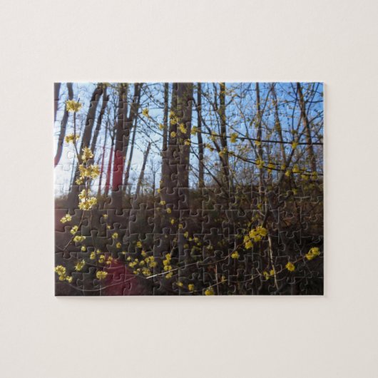 Puzzle Fleurs à épicéa au printemps (Horizontal)
