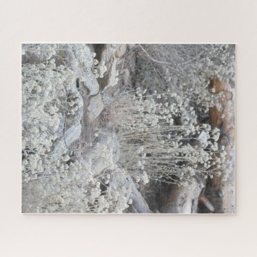 Puzzle Fleurs blanches dans la forêt (Horizontal)