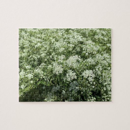 Puzzle Fleurs blanches de persil de vache Nature (Horizontal)