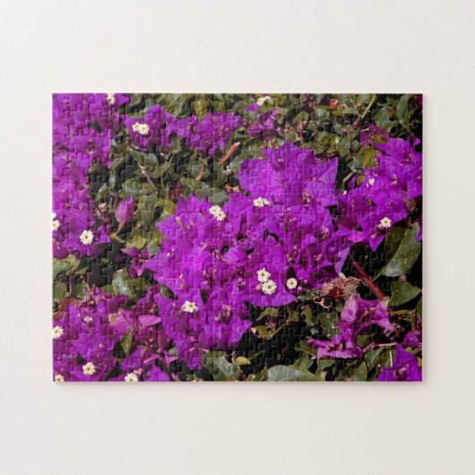 Puzzle Fleurs Bougainvilliers pourpres Nature Florale (Horizontal)