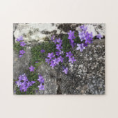 Puzzle Fleurs Campanula grandissant sur un mur (Horizontal)