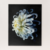 Puzzle Fleurs | Chrysanthème blanc (Vertical)