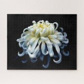 Puzzle Fleurs | Chrysanthème blanc (Horizontal)