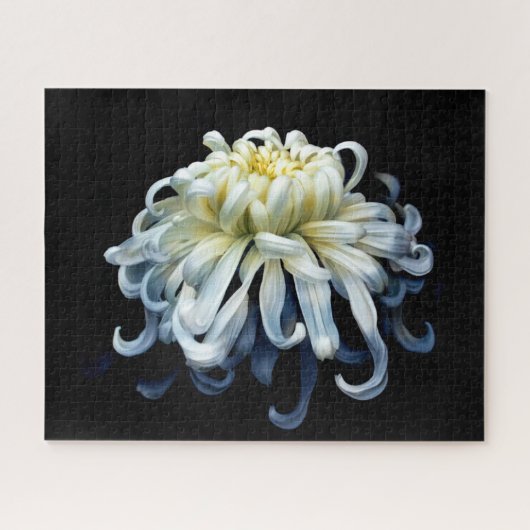 Puzzle Fleurs | Chrysanthème blanc (Horizontal)
