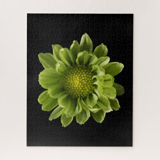 Puzzle Fleurs | Chrysanthème vert (Vertical)
