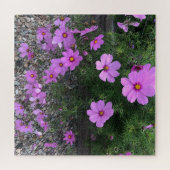 Puzzle Fleurs cosmos avec cailloux Sur un (Horizontal)