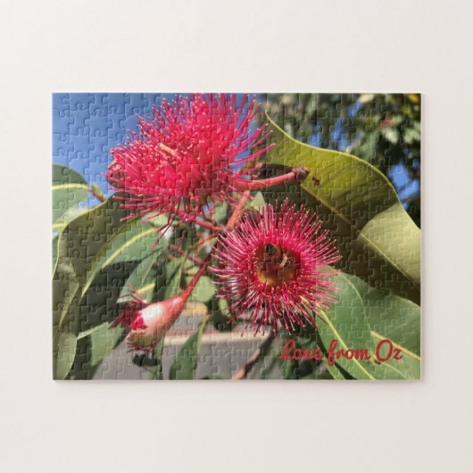 Puzzle Fleurs d'abeille de miel et d'eucalyptus (Horizontal)