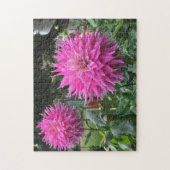 Puzzle Fleurs Dahlia Roses En Floraison (Vertical)