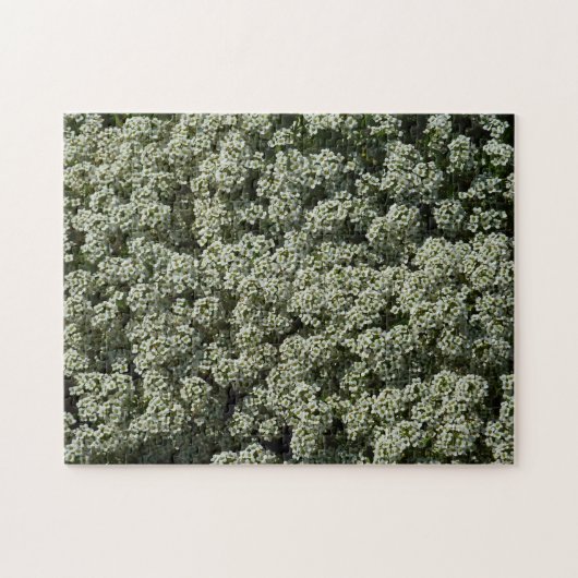 Puzzle Fleurs d'Alyssum doux Floral blanc (Horizontal)