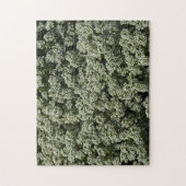 Puzzle Fleurs d'Alyssum doux Floral blanc (Vertical)