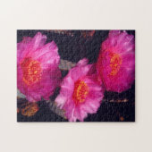 Puzzle Fleurs de Cactus Beavertail 2 (Horizontal)