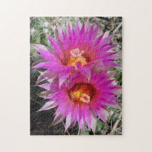 Puzzle Fleurs de cactus boule F5 "Escobaria vivipara"