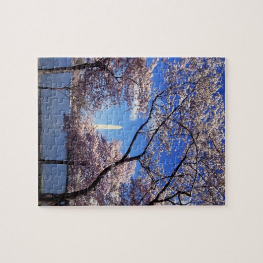 Puzzle Fleurs de cerisier dans le Washington DC (Horizontal)