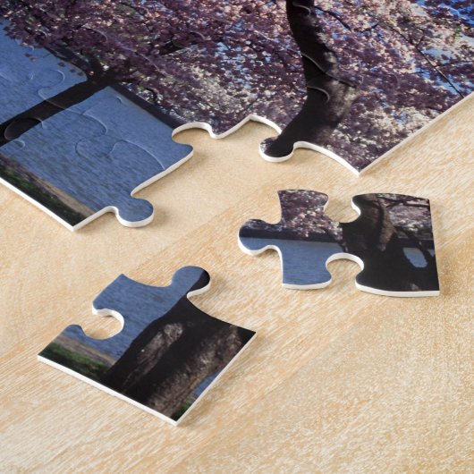 Puzzle Fleurs de cerisier dans le Washington DC (Côté)