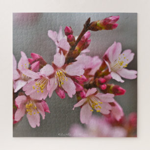 Puzzle Fleurs de cerisier japonaises roses sur un ciel gr