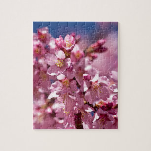 Puzzle Fleurs de cerisier Sakura embrassées par la lumièr