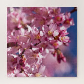 Puzzle Fleurs de cerisier Sakura embrassées par la lumièr (Horizontal)