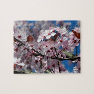 Puzzle Fleurs de cerisiers roses
