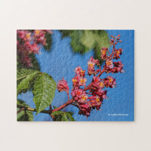 Puzzle Fleurs de châtaigniers de Cheval Rose