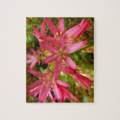 Puzzle Fleurs de Clintonia Rouge à Redwoods (Vertical)