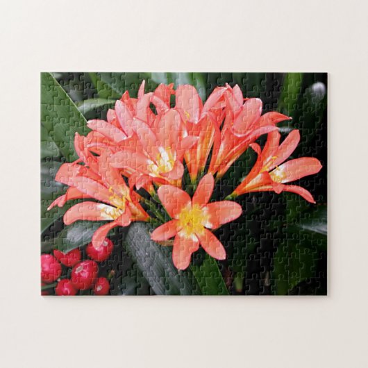 Puzzle Fleurs de Clivia en fleurs (Horizontal)