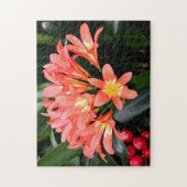 Puzzle Fleurs de Clivia en fleurs (Vertical)
