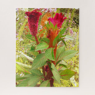 PUZZLE FLEURS DE COCKSCOMB