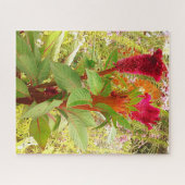 PUZZLE FLEURS DE COCKSCOMB (Horizontal)