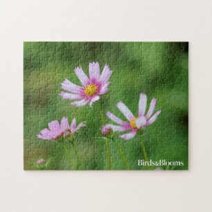 Puzzle Fleurs de cosmos
