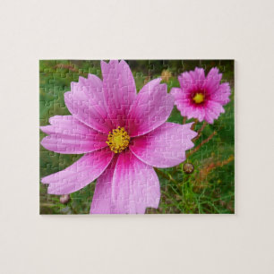 Puzzle Fleurs de Cosmos Rose Fleur Sauvage