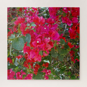 Puzzle Fleurs De Crimson : Danse Des Bougainvilliers Roug