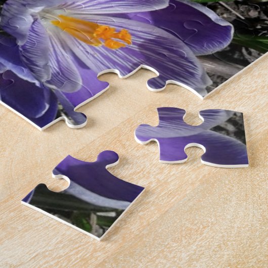 Puzzle Fleurs de Crocus printanières dans le parc (Côté)