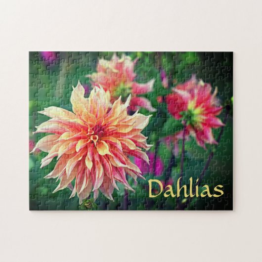 Puzzle Fleurs de dahlia orange et rose (Horizontal)