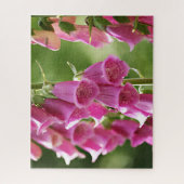 Puzzle Fleurs de digitale rose (Vertical)