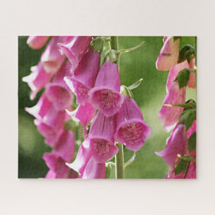 Puzzle Fleurs de digitale rose