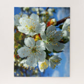 Puzzle Fleurs de fleurs de pommier blanc (Vertical)