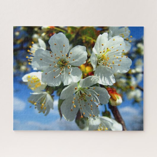 Puzzle Fleurs de fleurs de pommier blanc (Horizontal)