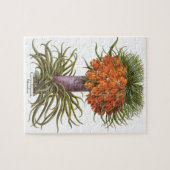 Puzzle Fleurs de Fritillaires Orange Vintage Basilius Bes (Horizontal)