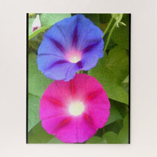 PUZZLE FLEURS DE GLOIRE DU MATIN (Vertical)