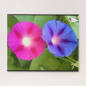 PUZZLE FLEURS DE GLOIRE DU MATIN (Horizontal)