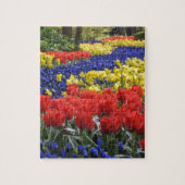 Puzzle Fleurs de Hollande, Keukenhof (Vertical)