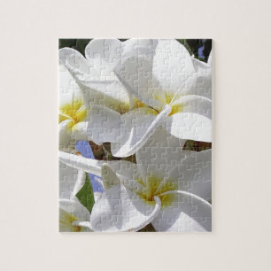 Puzzle Fleurs de la Plumeria tropicale
