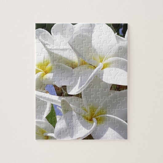 Puzzle Fleurs de la Plumeria tropicale (Vertical)