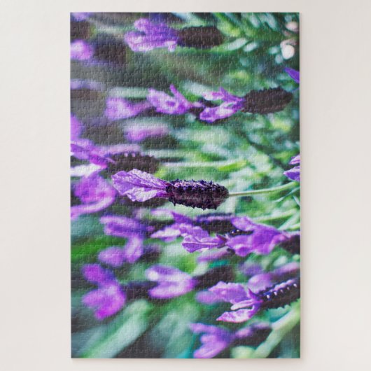 Puzzle Fleurs de lavande violette (Vertical)