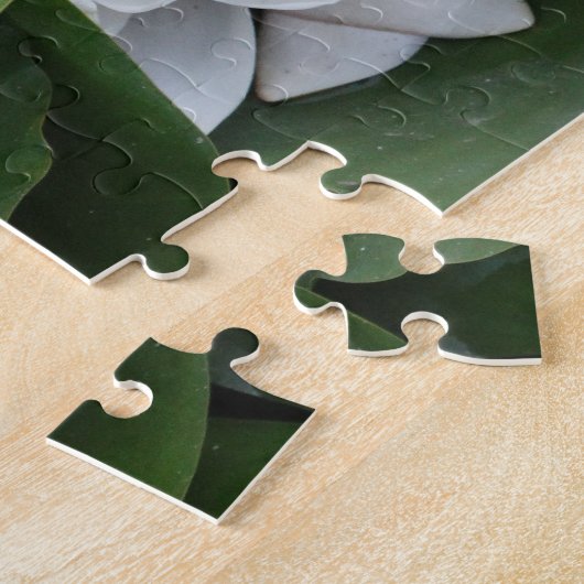 Puzzle Fleurs de Lotus Blanches, Botanique (Côté)