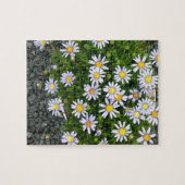 Puzzle Fleurs de Margarita jaune blanc avec cailloux gris (Horizontal)