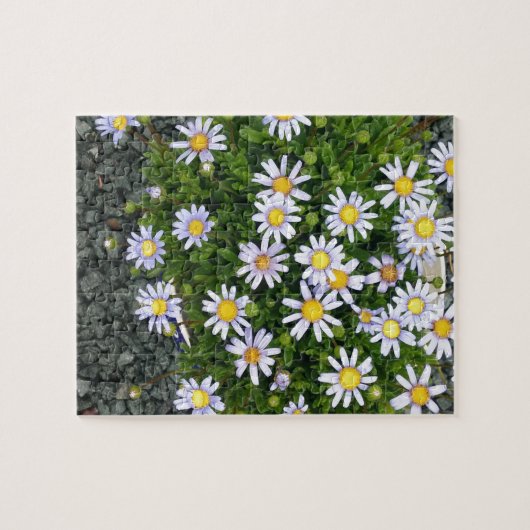 Puzzle Fleurs de Margarita jaune blanc avec cailloux gris (Horizontal)