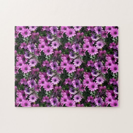 Puzzle Fleurs de marguerite violette africaine Nature (Horizontal)