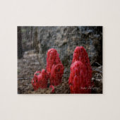 Puzzle Fleurs de neige (Horizontal)