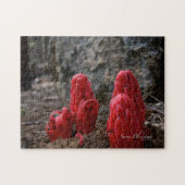 Puzzle Fleurs de Neige (Horizontal)